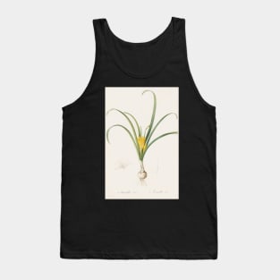 Amaryllis Lutea by Pierre-Joseph Redoute Tank Top